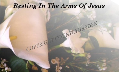 Resting in the Arms of Jesus GEN22